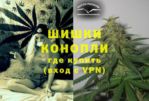 PSILOCYBIN Алексин
