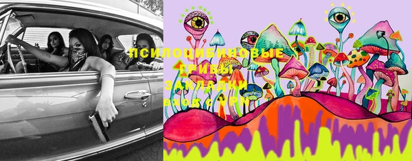 PSILOCYBIN Алексин