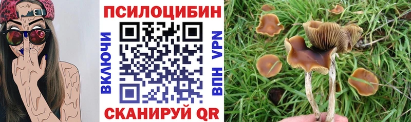 Галлюциногенные грибы ЛСД  гидра ссылки  Егорьевск  как найти закладки 